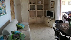 TV