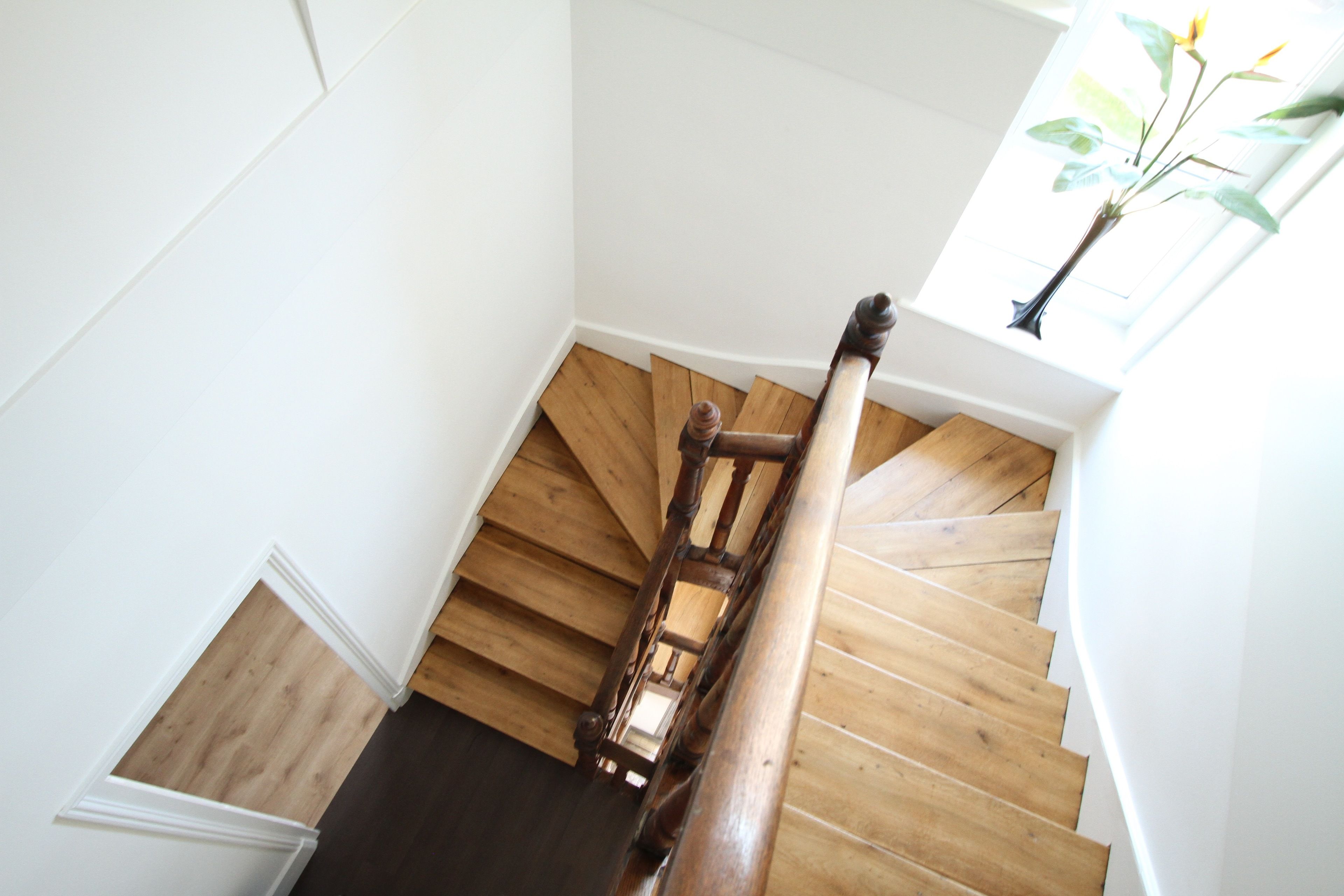 A wooden staircase with a handrail, white walls, and a window with a plant.