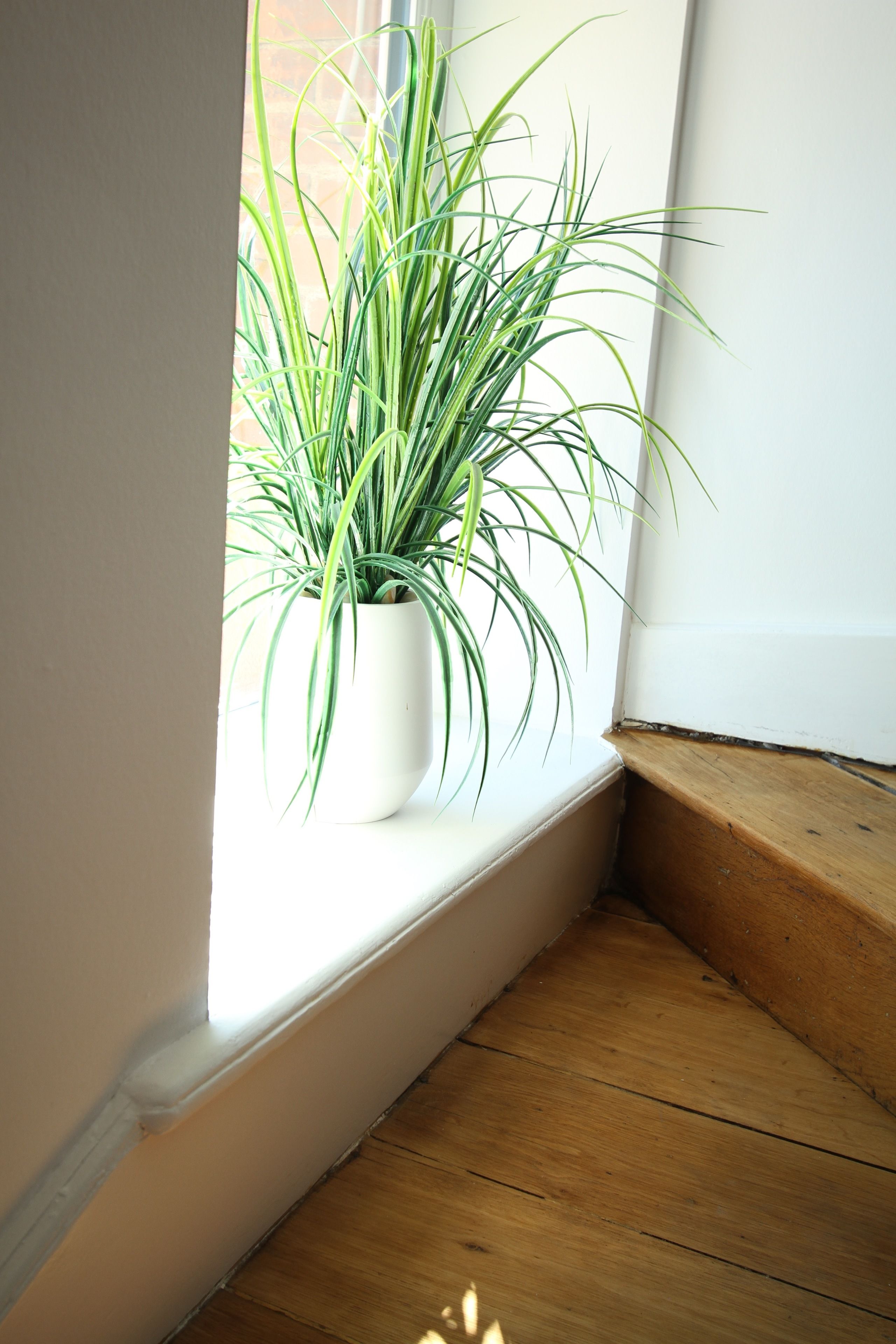 Una planta en maceta sobre un alféizar, con suelo de madera.