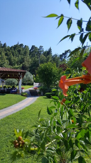 Áreas de la propiedad