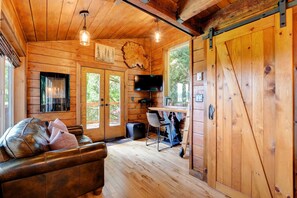 智能电视、壁炉、DVD 播放器、书