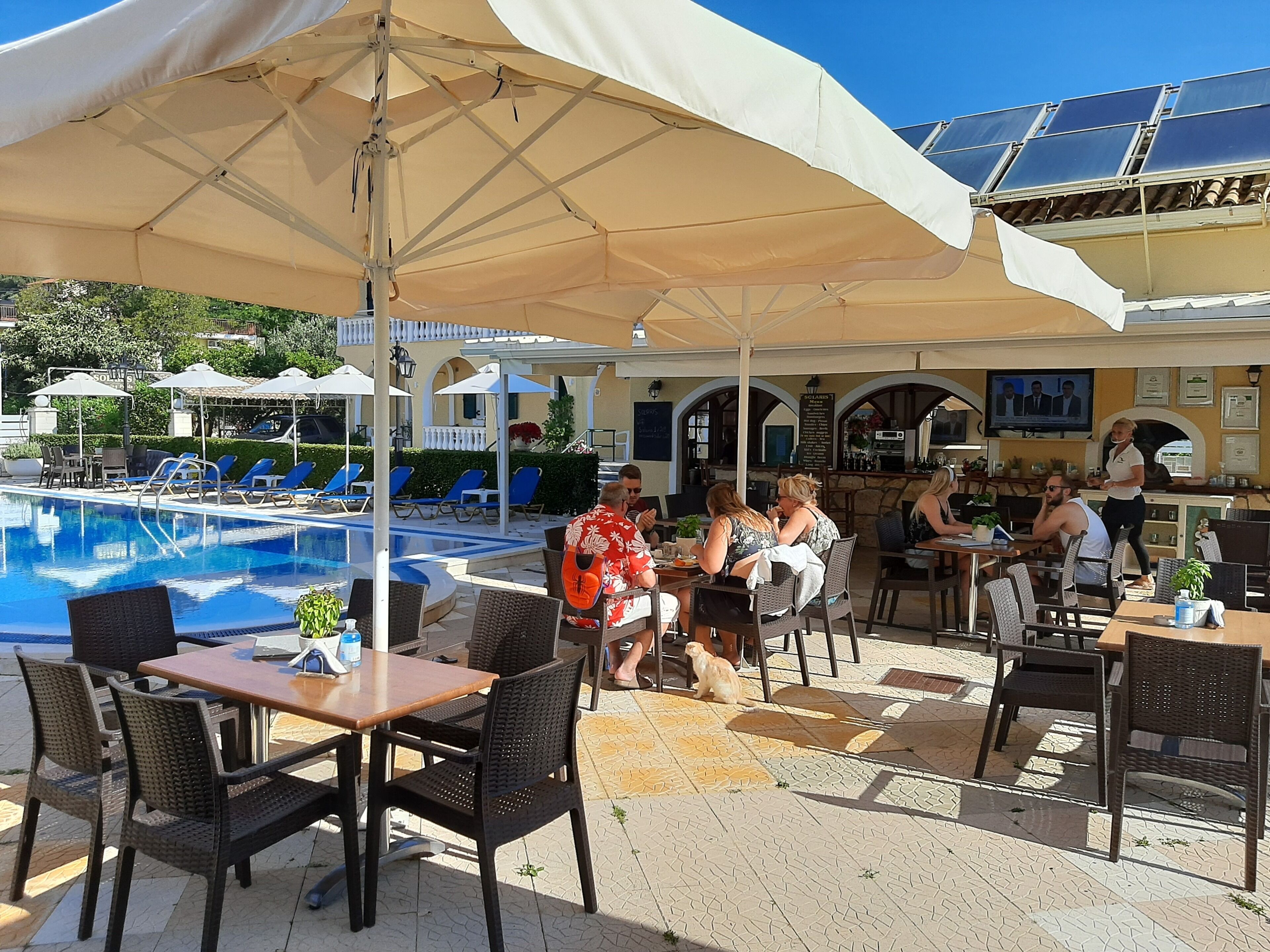 A poolside area with lounge chairs, a bar, and umbrellas.