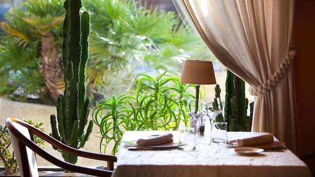 A dining table set with a lamp, plates, and a folded towel, with a view of cacti and other plants through a window. - Hotel Le Relais de Farrou (Saint-Remy)