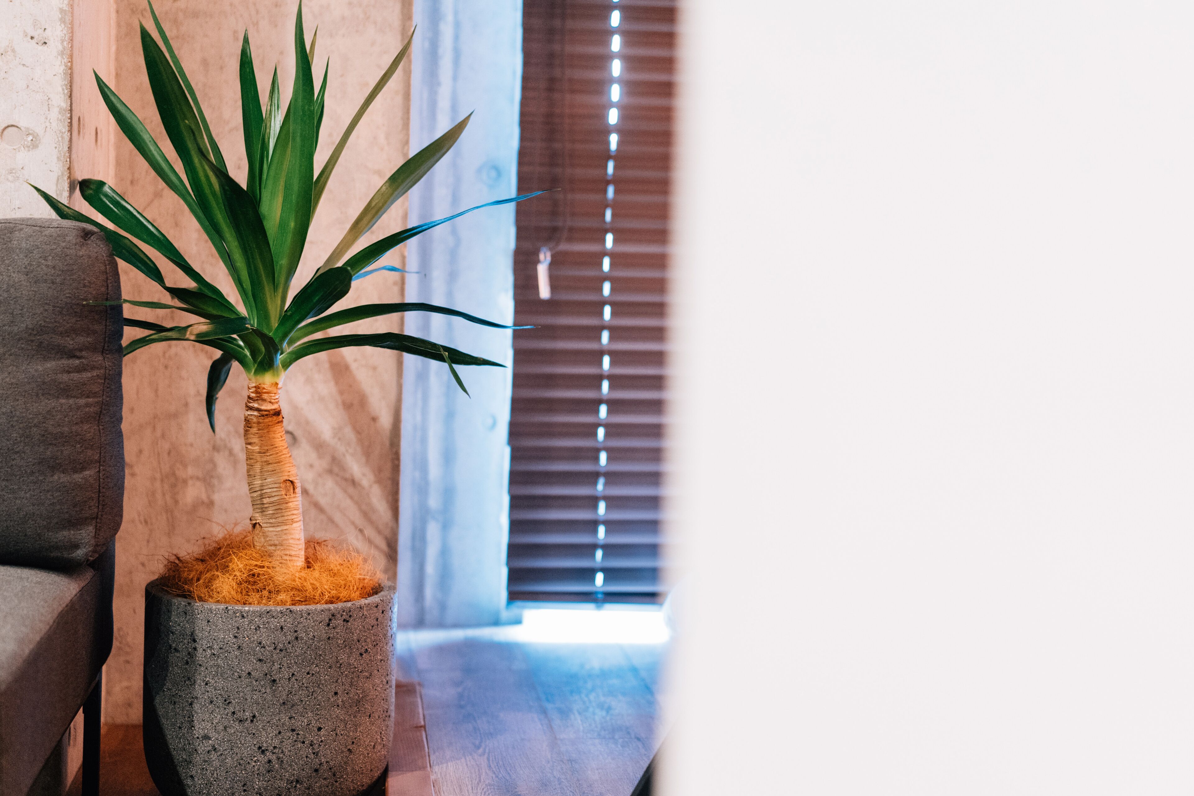 comfort quadruple room, multiple beds, non smoking | room amenity