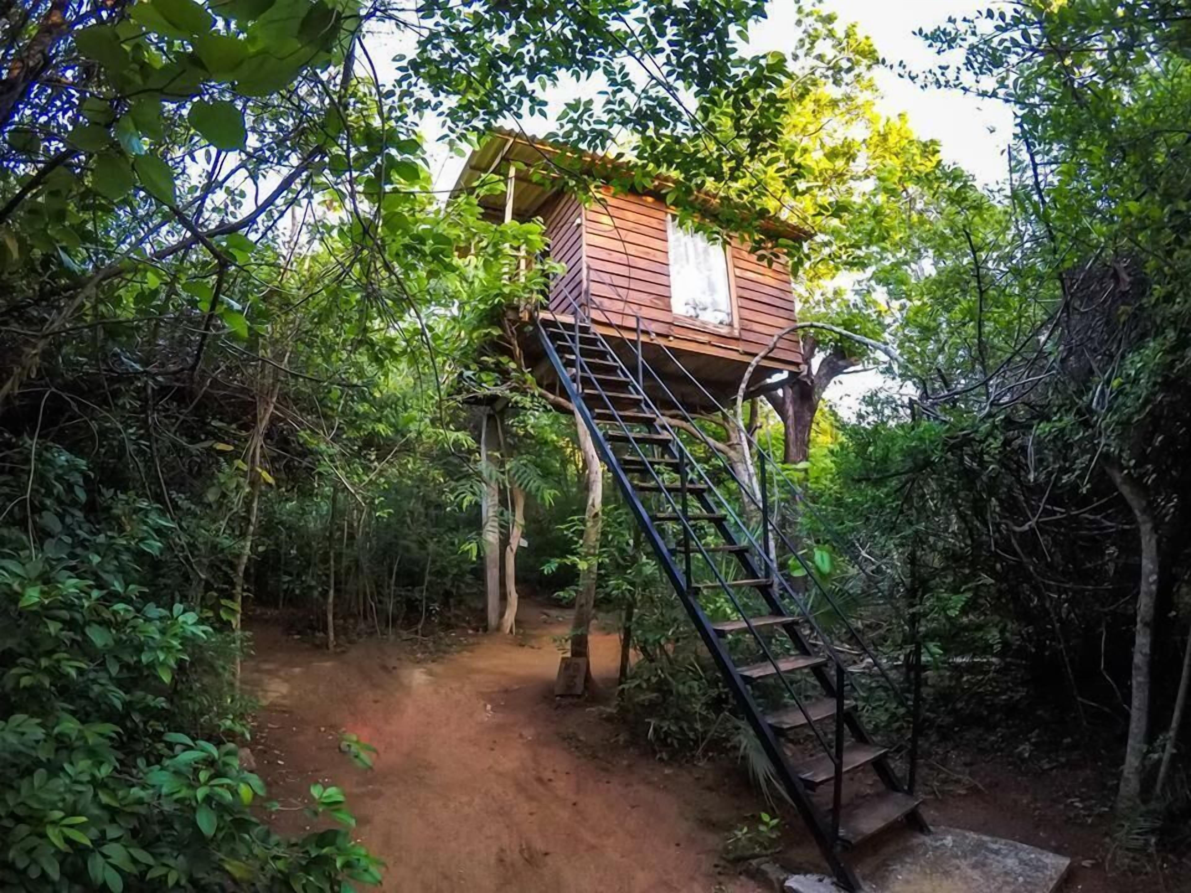 A treehouse with a wooden exterior, a metal staircase, and a dirt path leading to it.