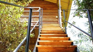 A wooden staircase with metal railings, surrounded by greenery. - Thick forest sigiriya (Sigiriya)