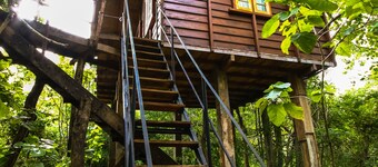 Thick forest sigiriya