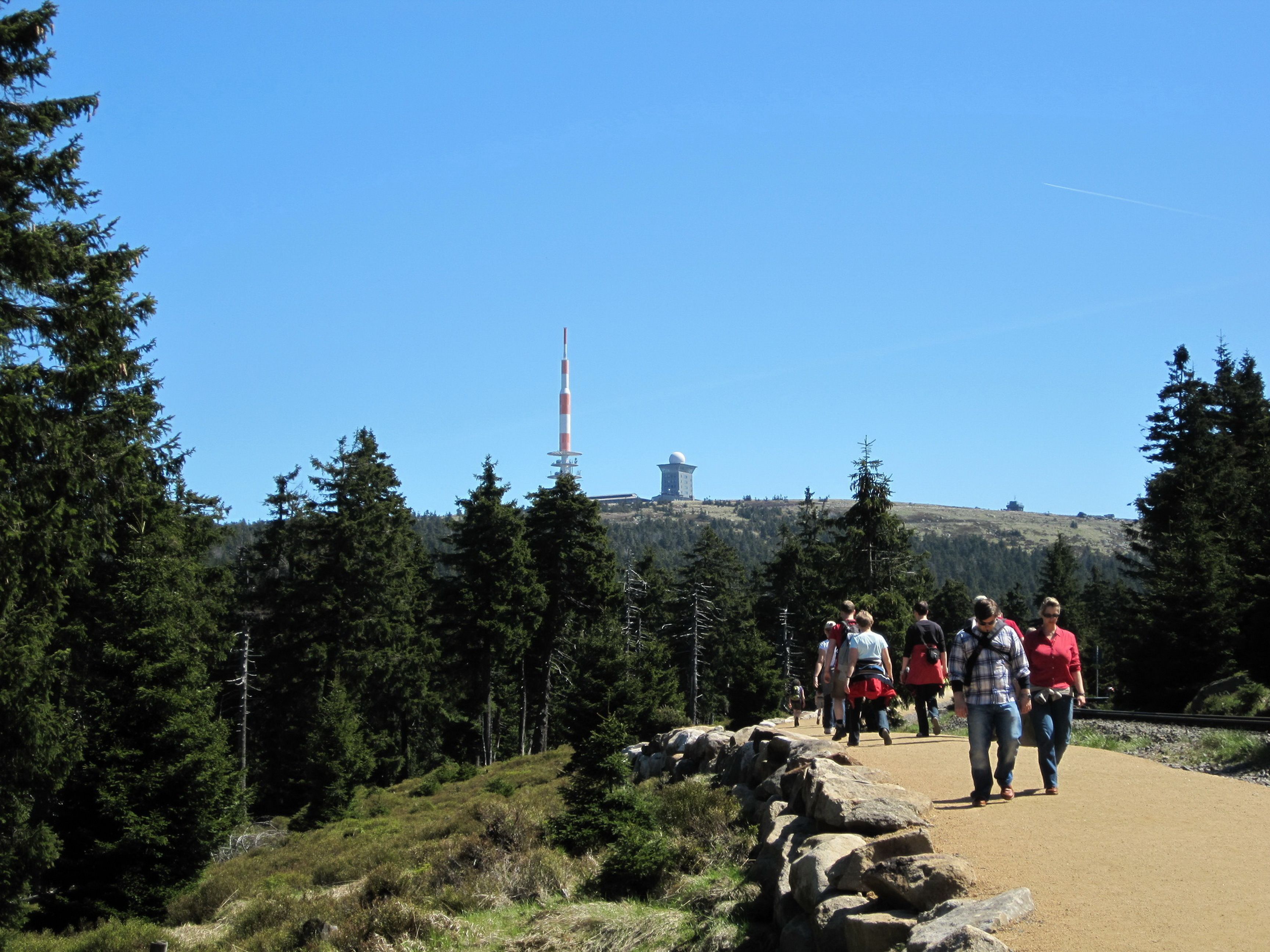 A hiking trail with a stone wall and dense forest.