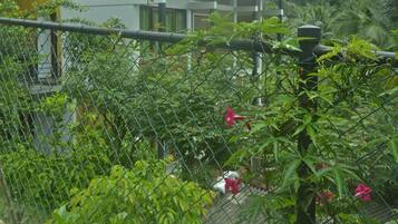 Bagian depan properti