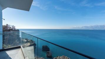 Beach/ocean view
