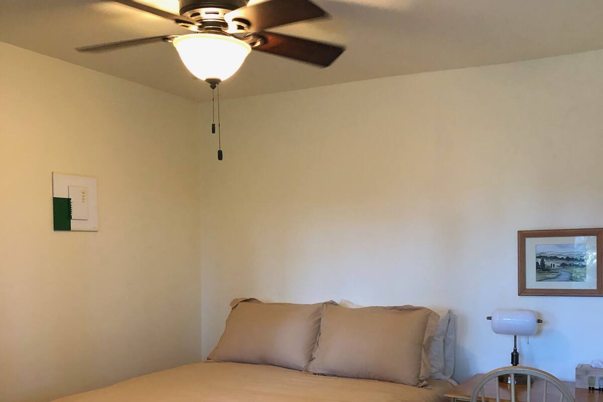 Ein Schlafzimmer mit einem Bett, einem Schreibtisch, einem Stuhl, einem Deckenventilator und einem gerahmten Bild an der Wand.