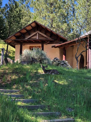 숙박 시설 구내