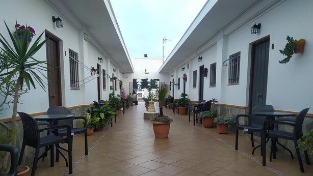 A corridor with potted plants and outdoor seating. - Hostal El Canario (Conil de la Frontera)