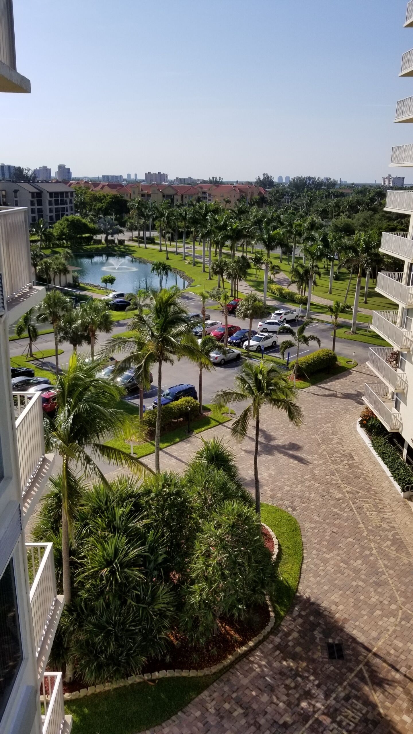 A hotel courtyard with a swimming pool, palm trees, and a parking area.