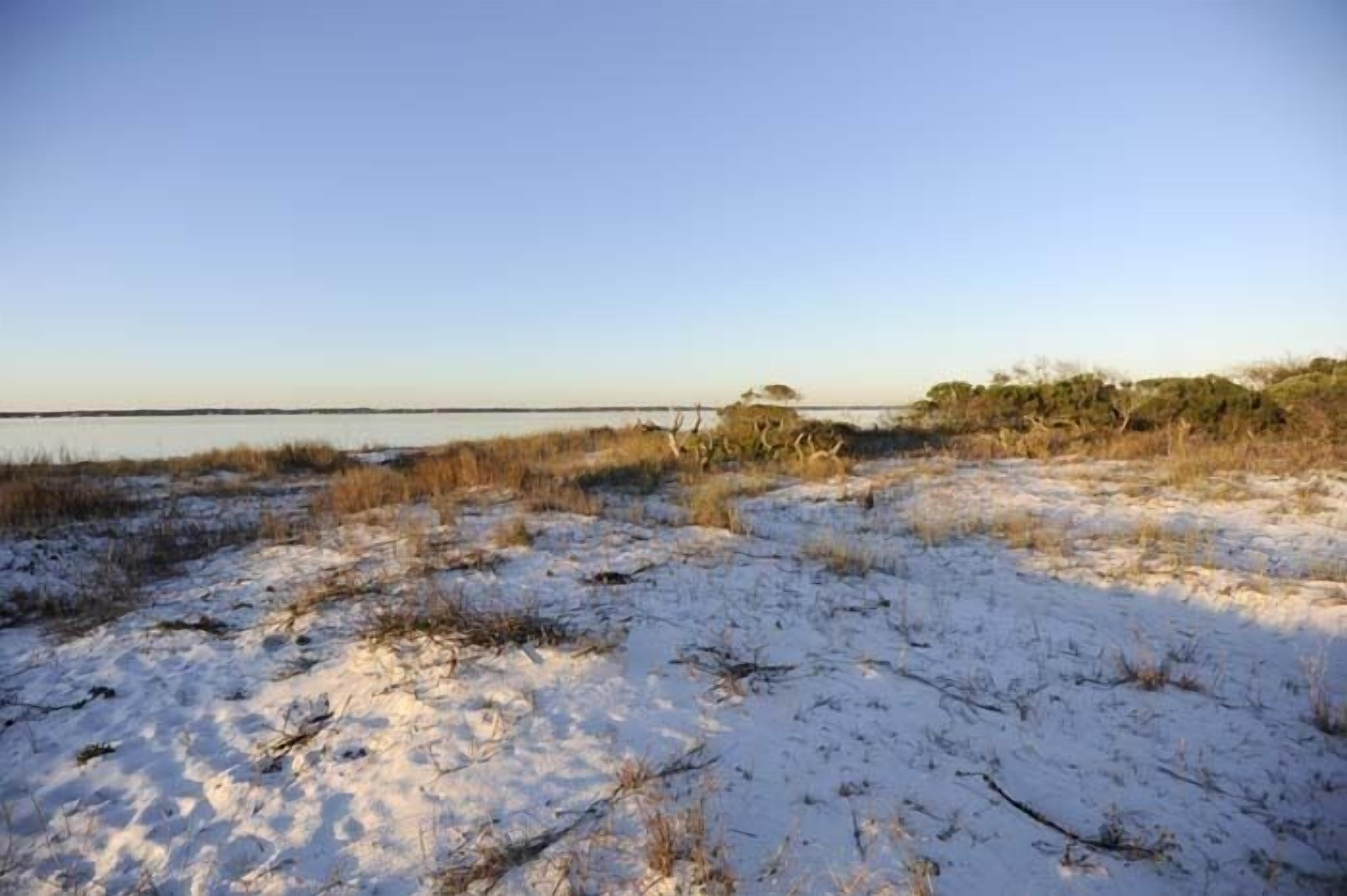 Een besneeerd landschap met een waterpartij en schaarse begroeiing.
