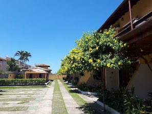Jardines del alojamiento