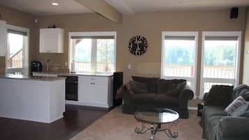 TV, video games, Netflix, DVD player