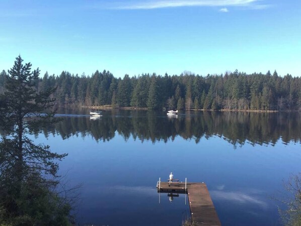 Un lago tranquilo con un muelle de madera que se adentra en el agua, rodeado de un bosque denso.