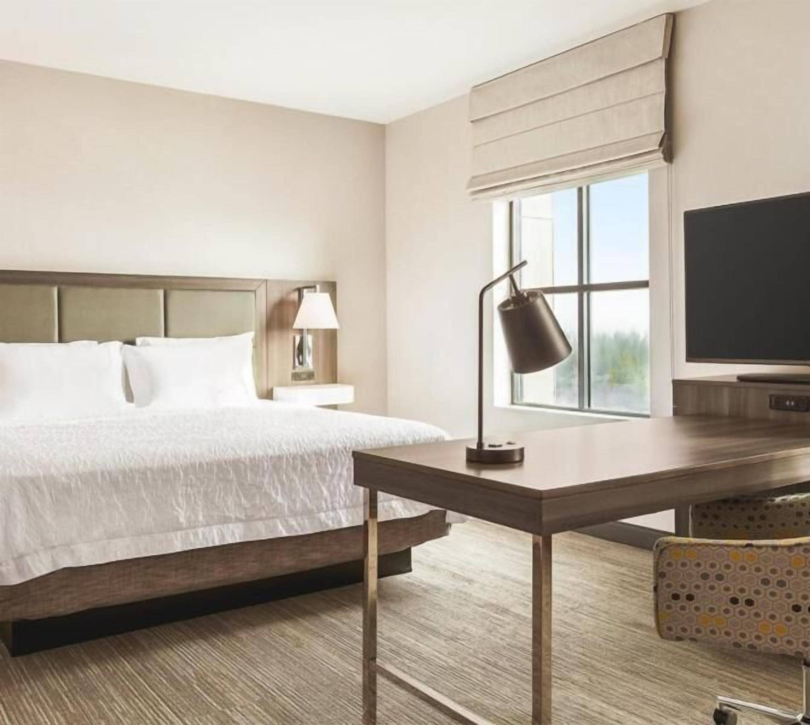 Studio Suite, 1 King Bed | Desk, laptop workspace, iron/ironing board, travel cot