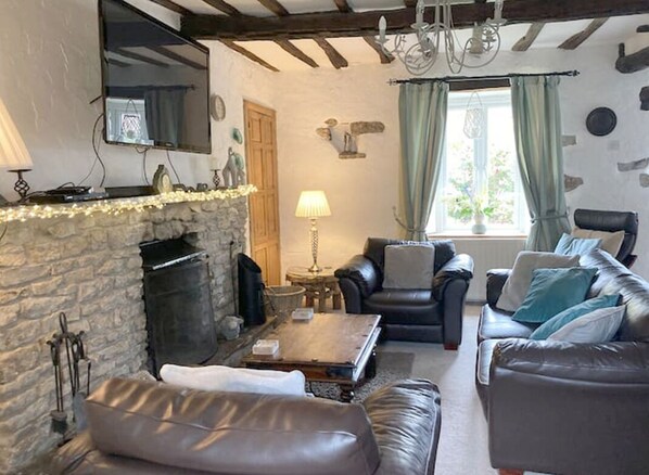 TV, fireplace, DVD player, books