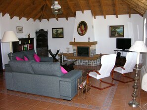 TV, fireplace