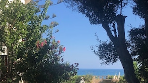 A garden with a pathway leading to a view of the sea. - Beautiful villa with sea view, large garden and private access to the beach (Marbella)