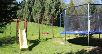 Holiday House Daniela - skiing, tourism, termal pools, Treetop walk...