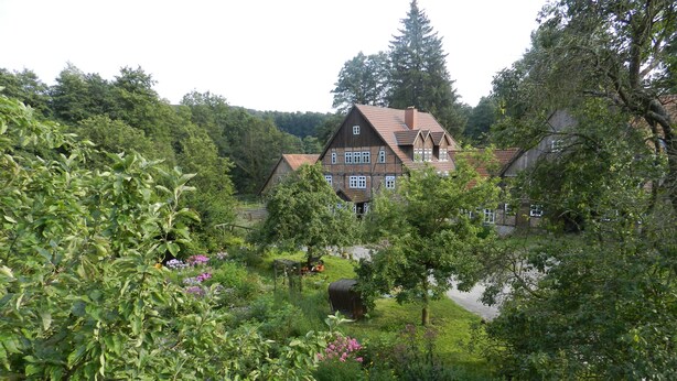 A traditional house surrounded by lush greenery and a garden. - Romantic located, historic water mill in Silberbachtal (Horn-Bad Meinberg)