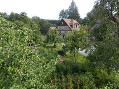 Romantic located, historic water mill in Silberbachtal