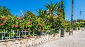 A stone wall with a metal fence and flowering plants.