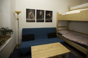 1 soverom, lydisolert, strykejern/-brett og wi-fi