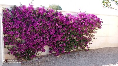 “Ampolla Villa”, 5 min away from the beach, 500 sqm garden, 9 persons