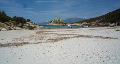 appartement,f1 2 pieces,1cuisine,1 chambre,1 salle d'eau