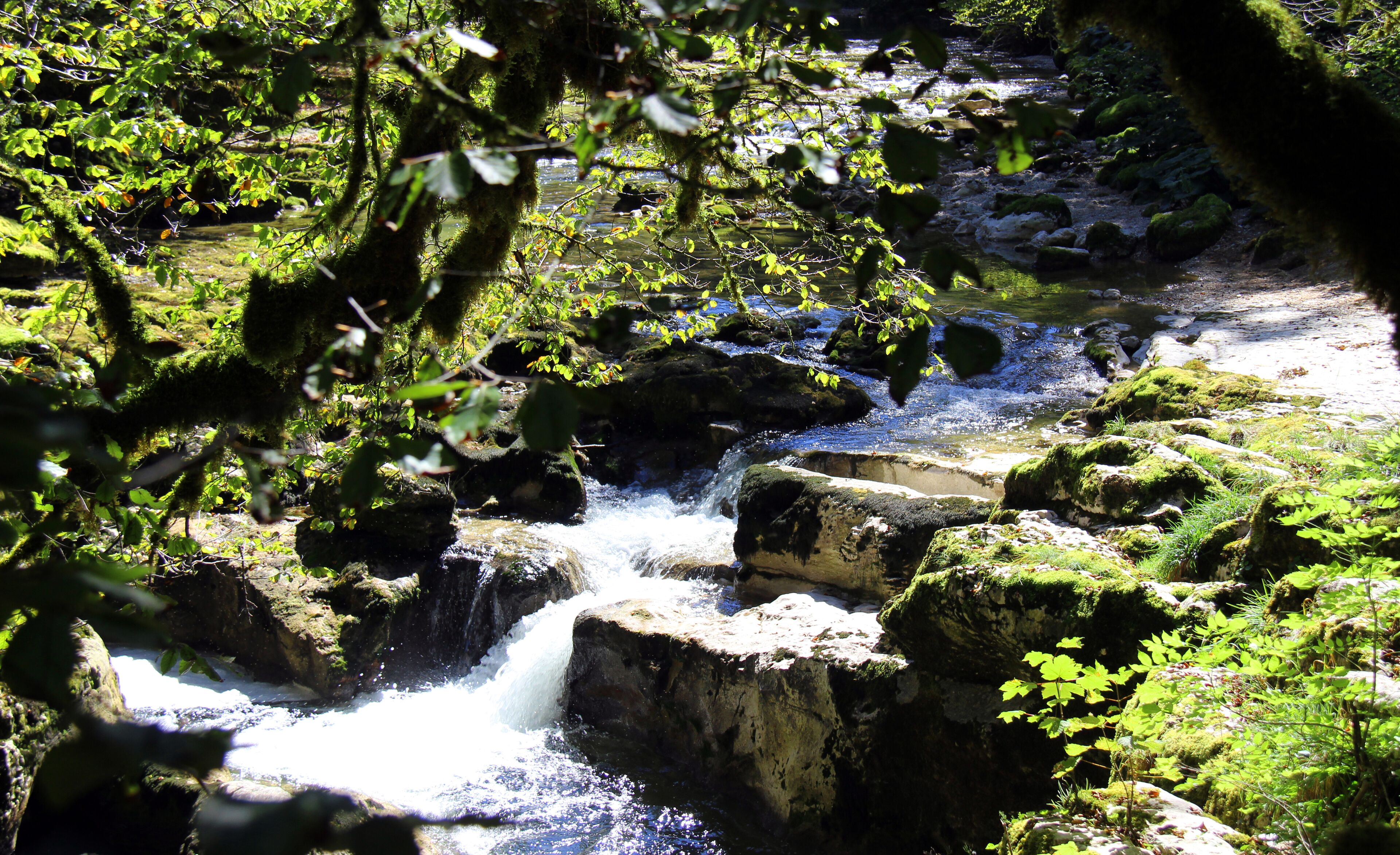A natural stream flowing over rocks in a forested area.