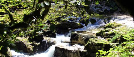 A natural stream flowing over rocks in a forested area.