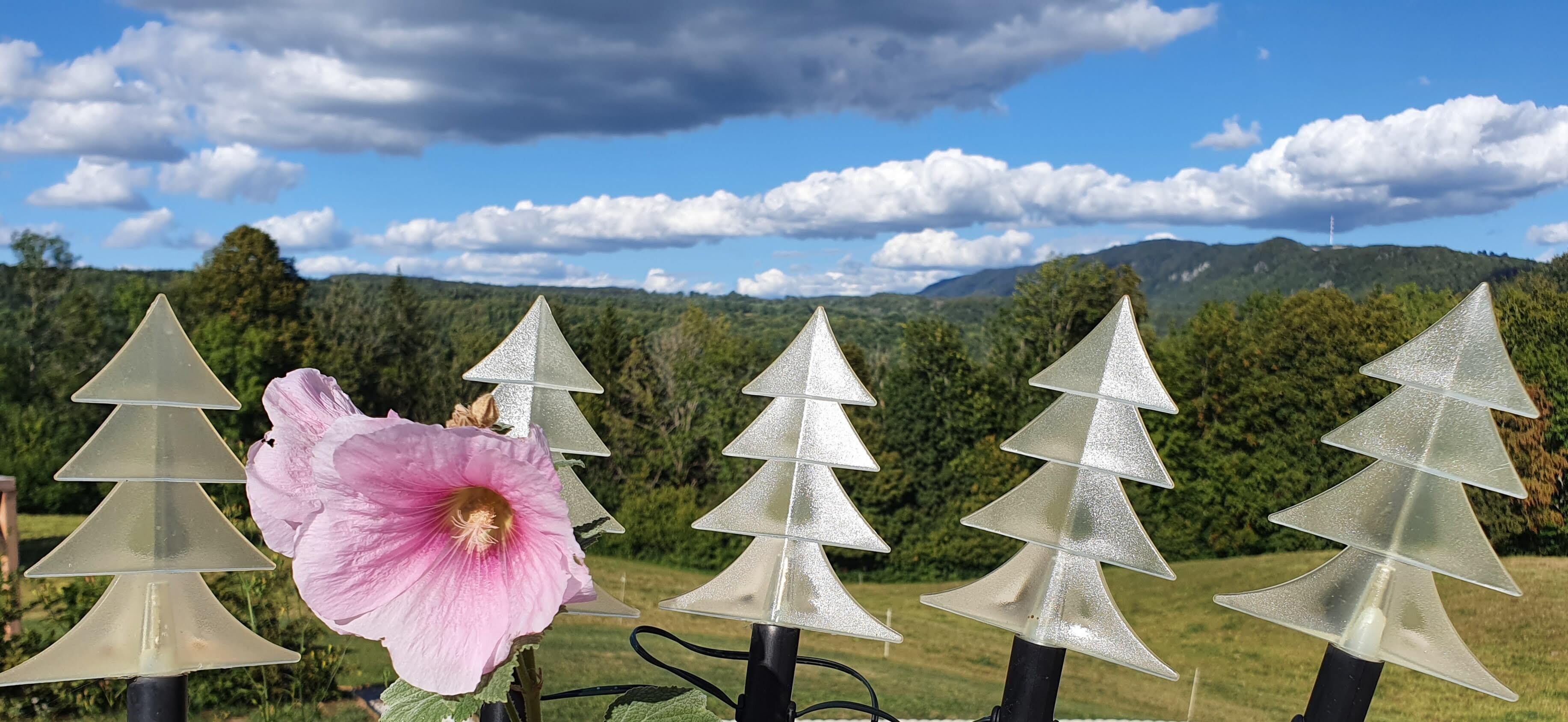 Eine Reihe von Weihnachtsbäumen in einem Garten mit Bergblick.