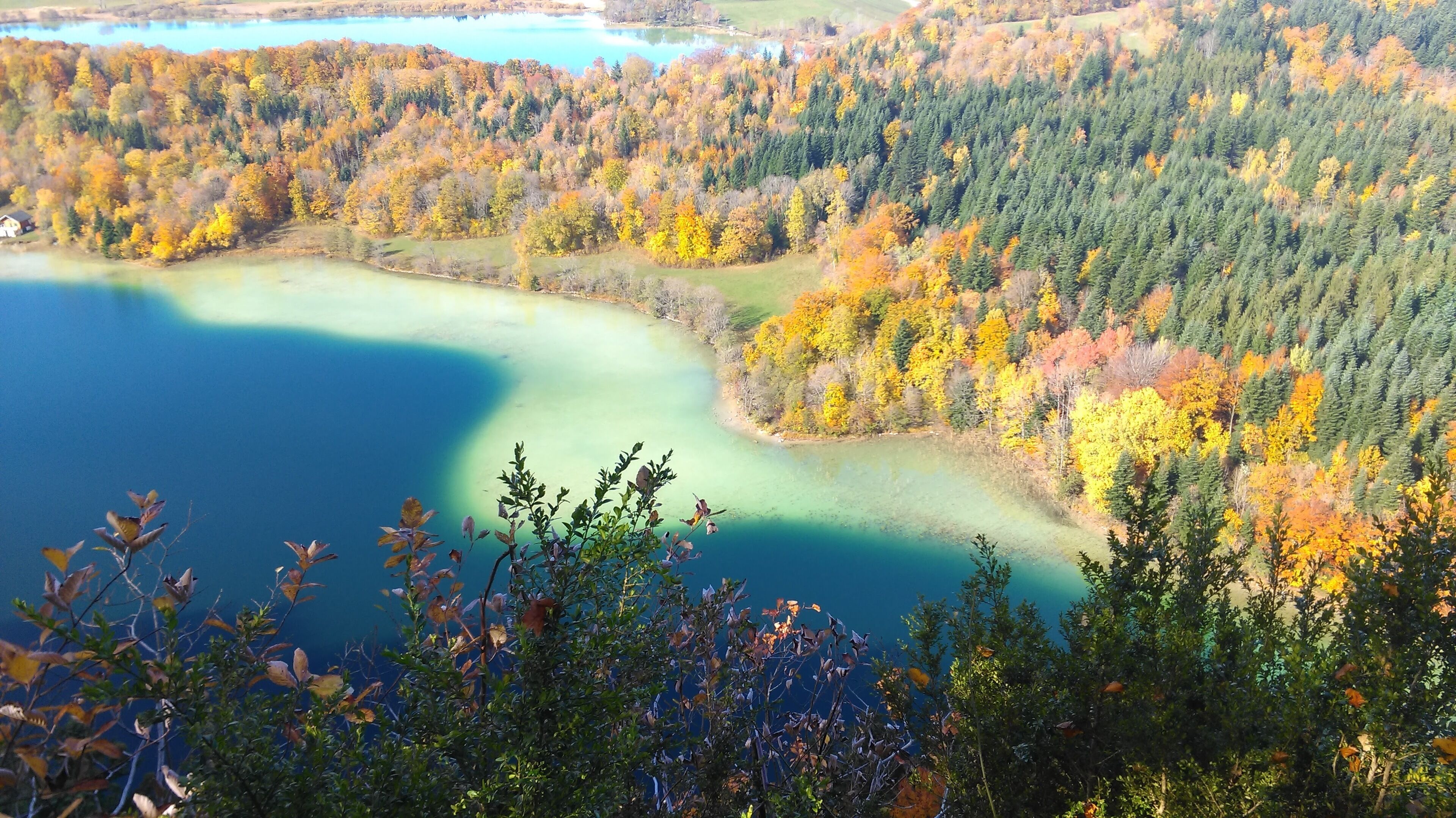 A lake surrounded by forested hills with a clear view of the water.
