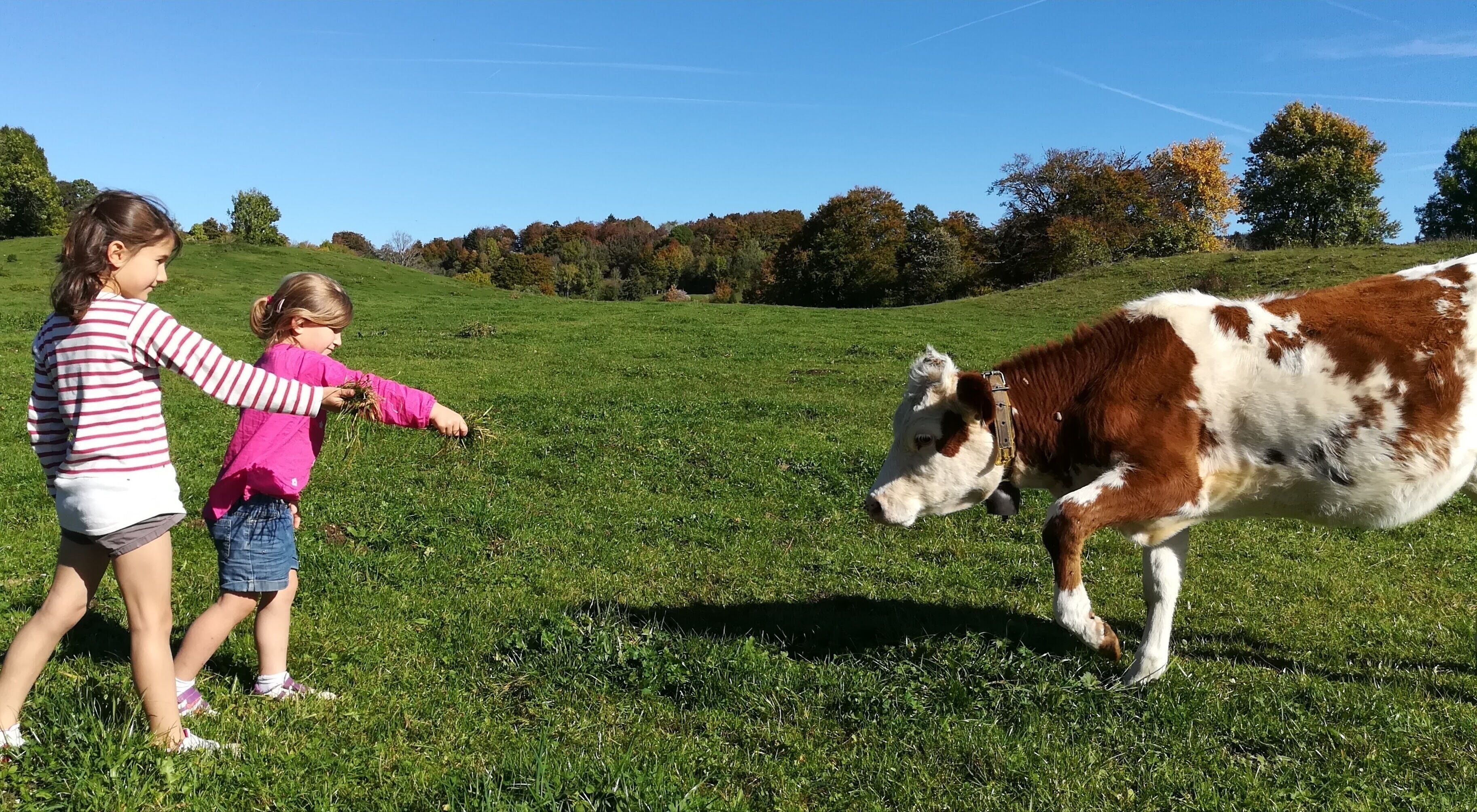 Two children interacting with a cow in a grassy field.