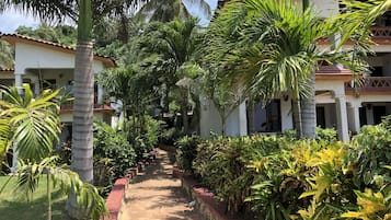 Puutarha