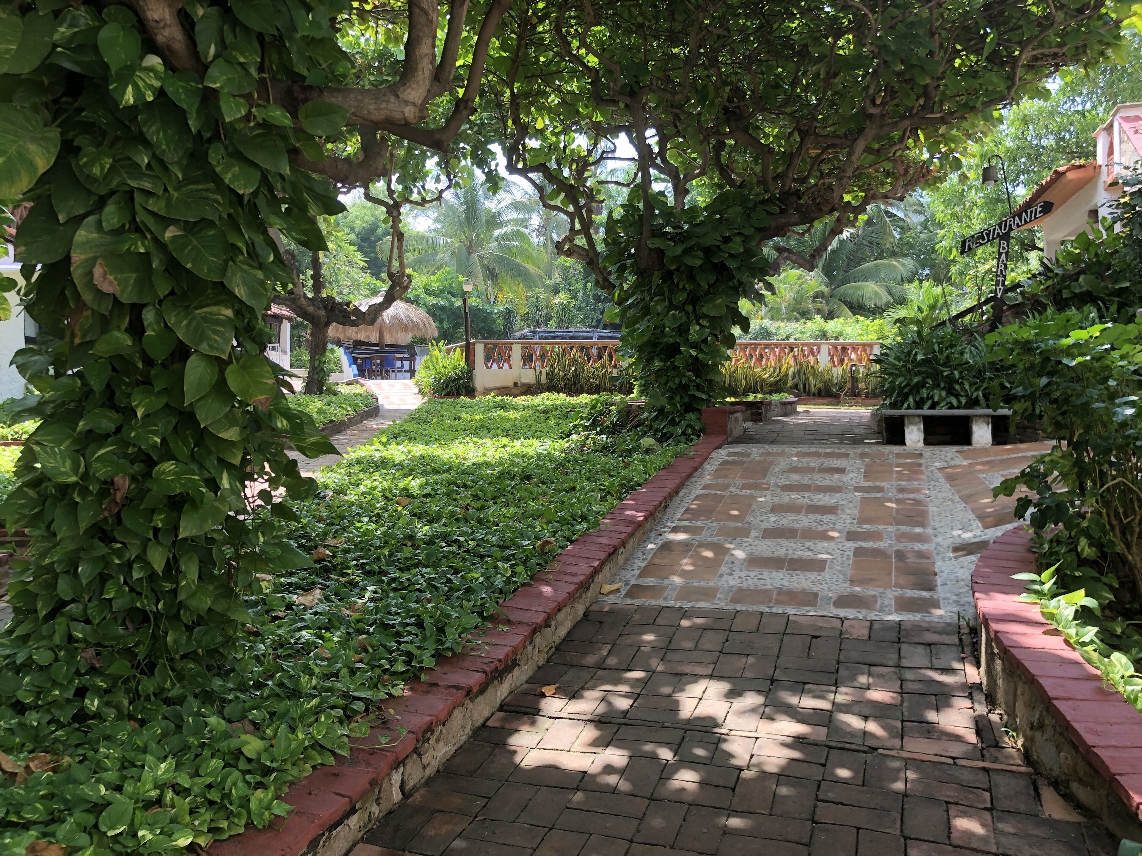 A paved pathway flanked by lush greenery and a thatched-roof structure, leading to a building labeled "RESTAURANTE BAR."