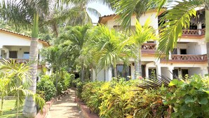 Un chemin bordé de palmiers et d’une végétation luxuriante, qui mène à un bâtiment doté d’un toit en tuiles et de balcons.