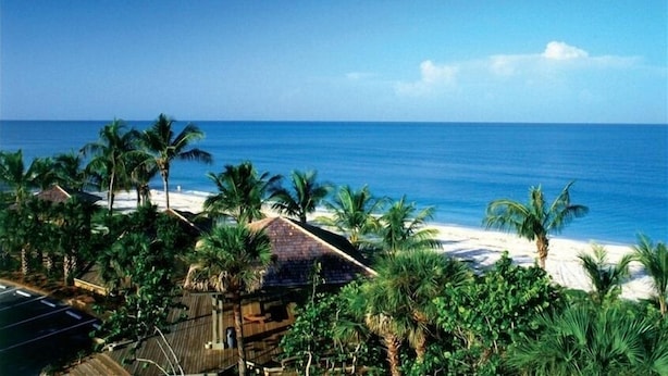 Vista a la playa con palmeras y una construcción de techo de paja.
