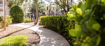 Luxury 2/2 1/2 - FREE PARKING, WIFI, BIKES, BIG POOL, NEWLY RENOVATED