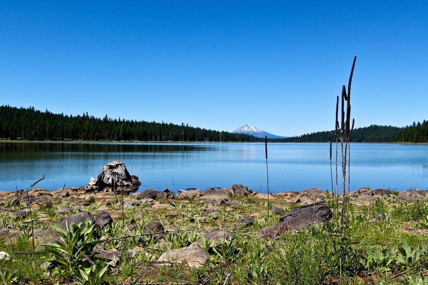 Blick auf den See