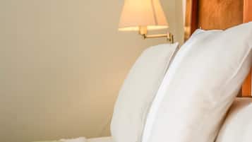 Habitación Business doble, 1 cama de matrimonio | Vistas desde la habitación