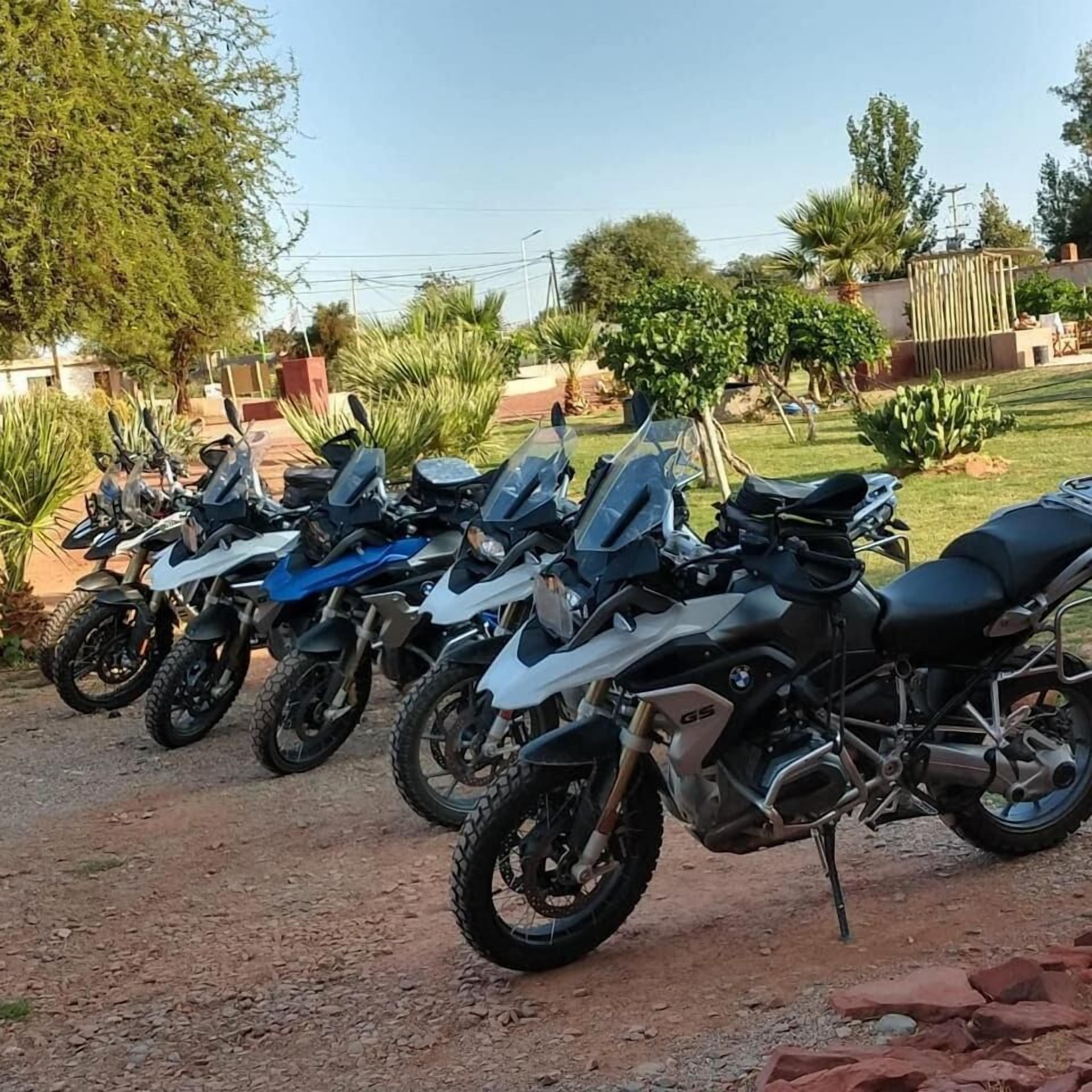 A row of motorcycles parked on a gravel path in a landscaped area with trees and shrubs.