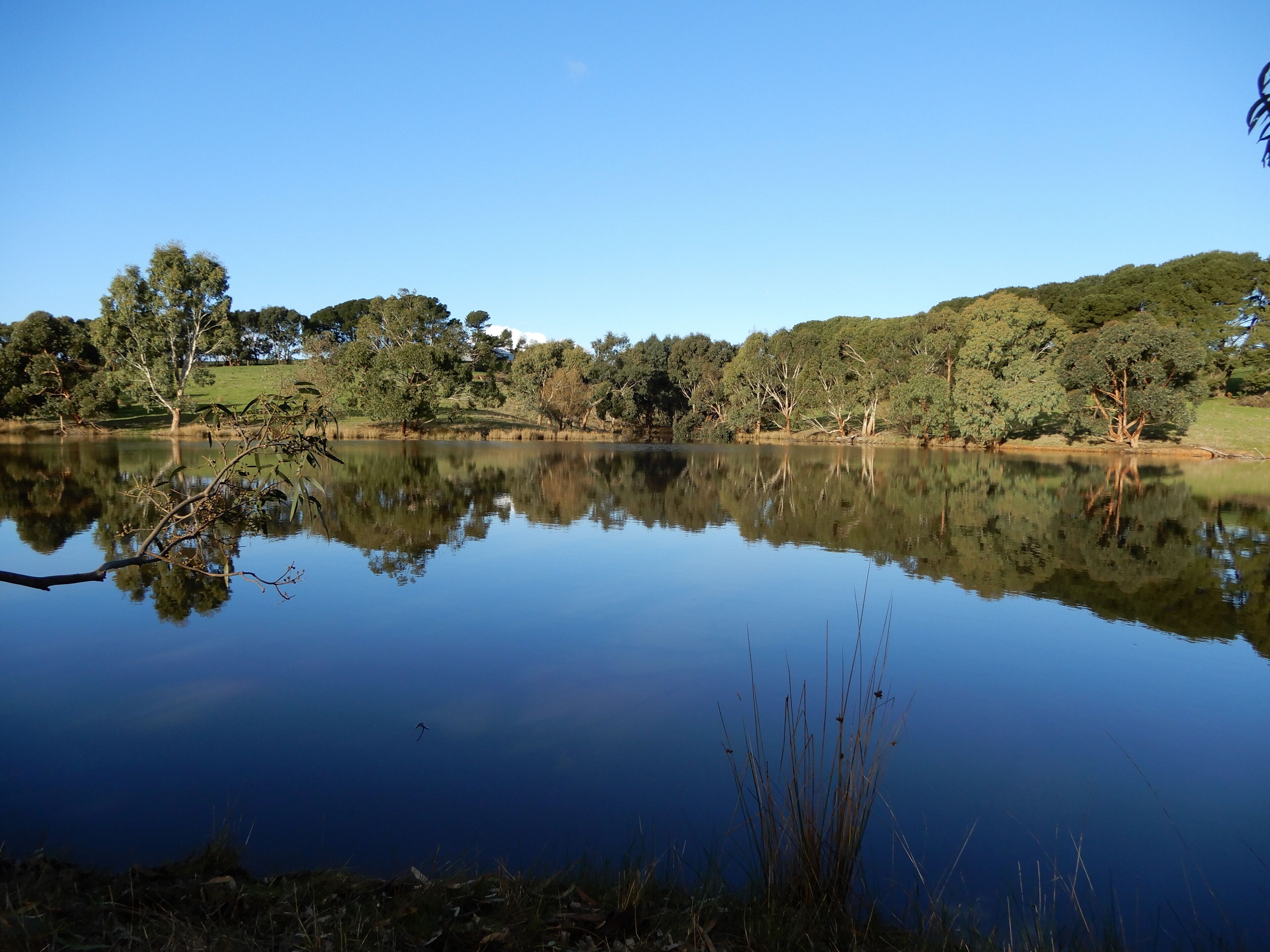 Leawarra stays in the farm - Fleurieu Peninsula — image 22