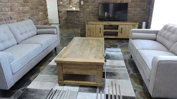 TV, fireplace, books