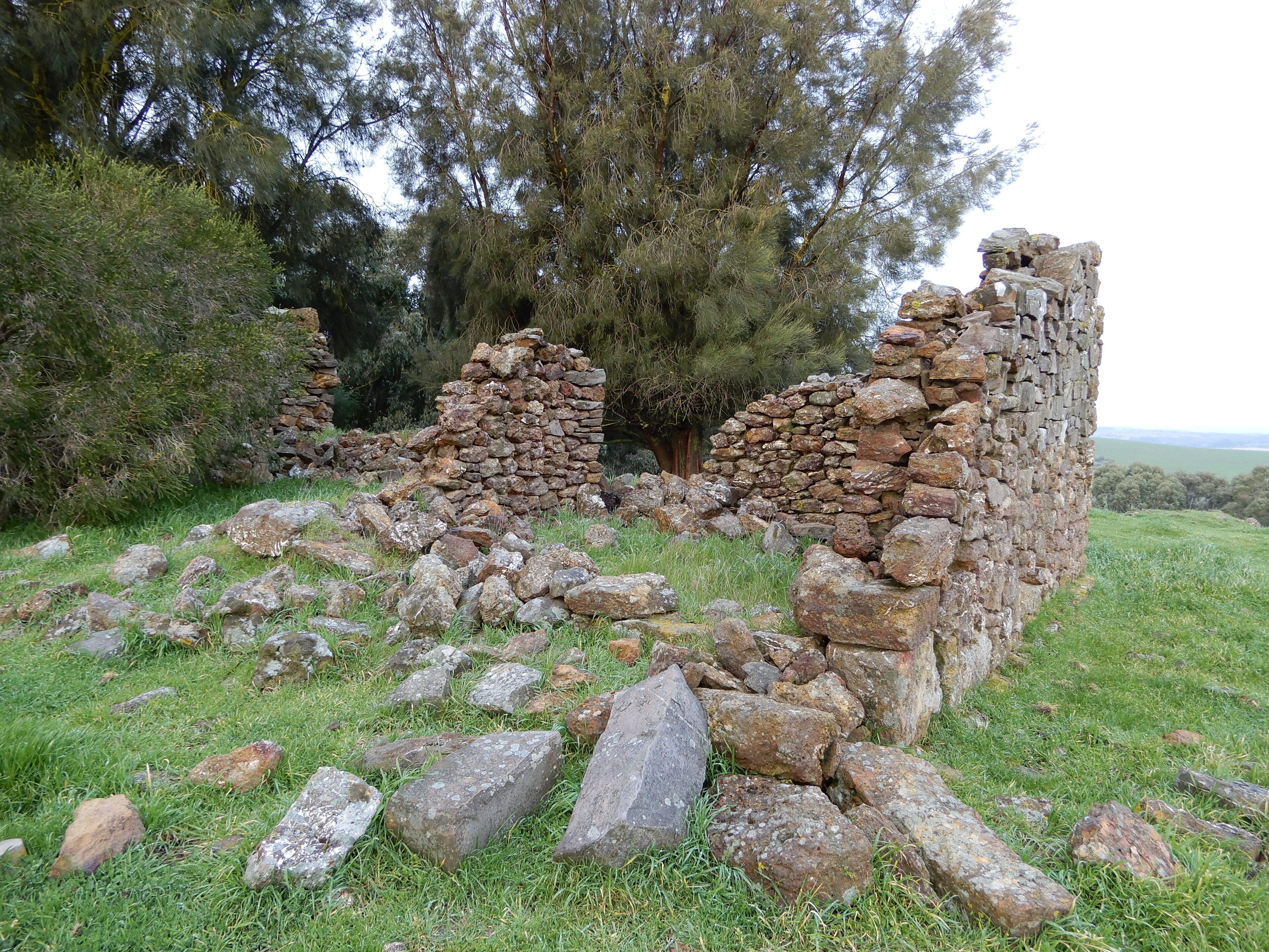 Leawarra stays in the farm - Fleurieu Peninsula — image 23