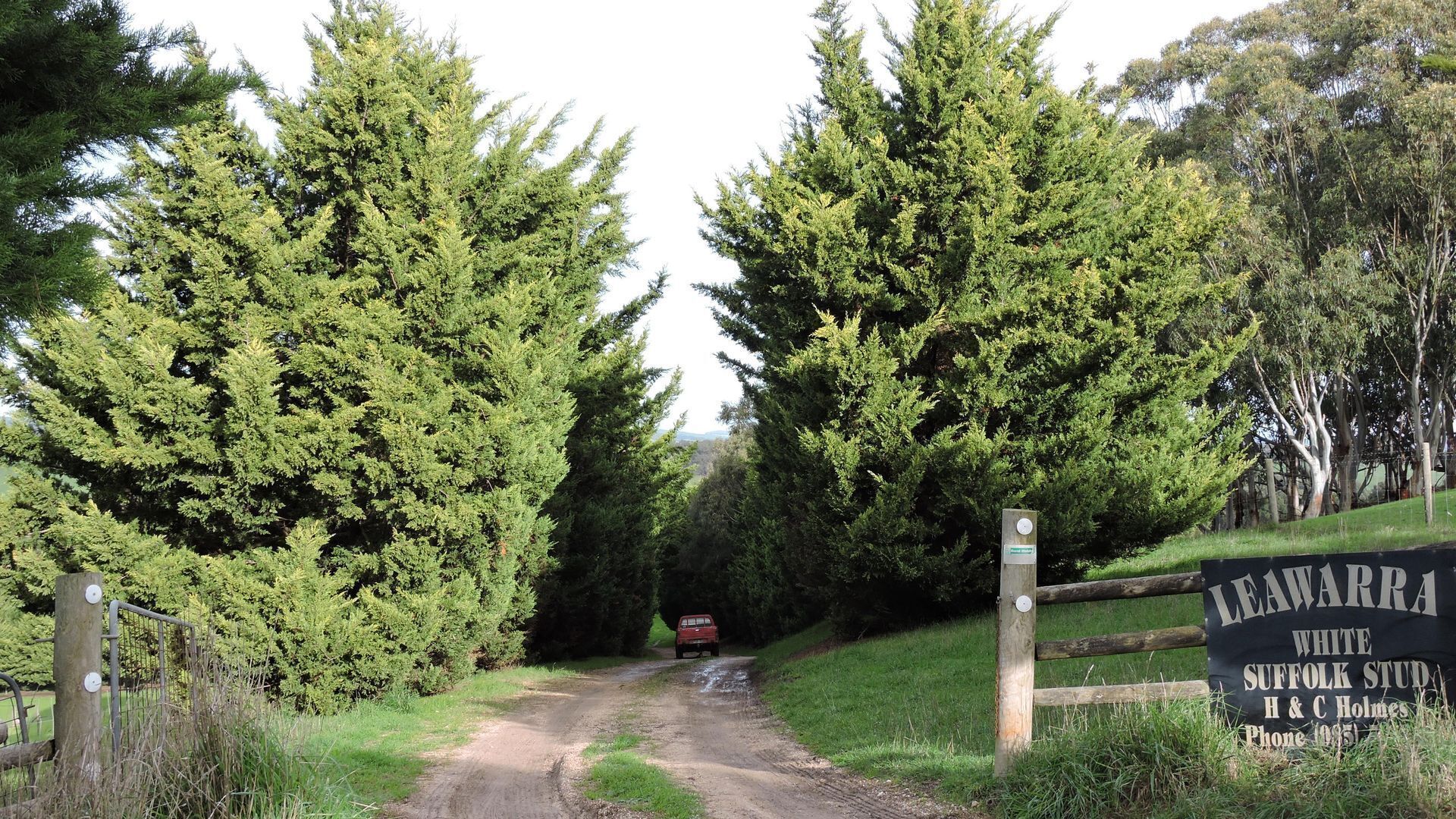 Leawarra stays in the farm - Fleurieu Peninsula — image 15